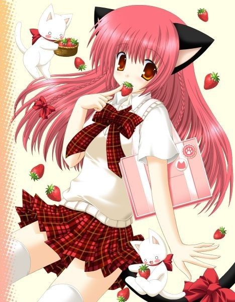 Пользователь